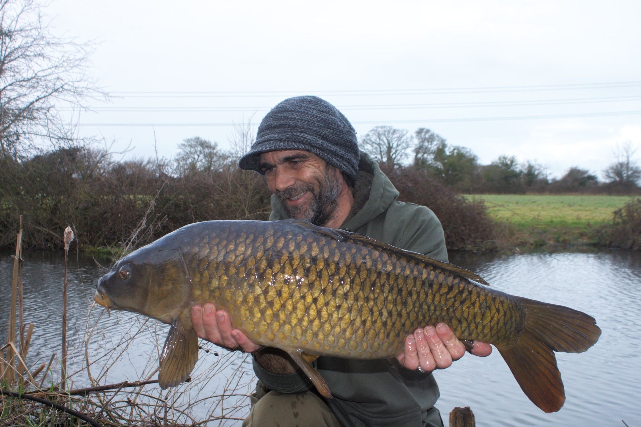 14lb Common