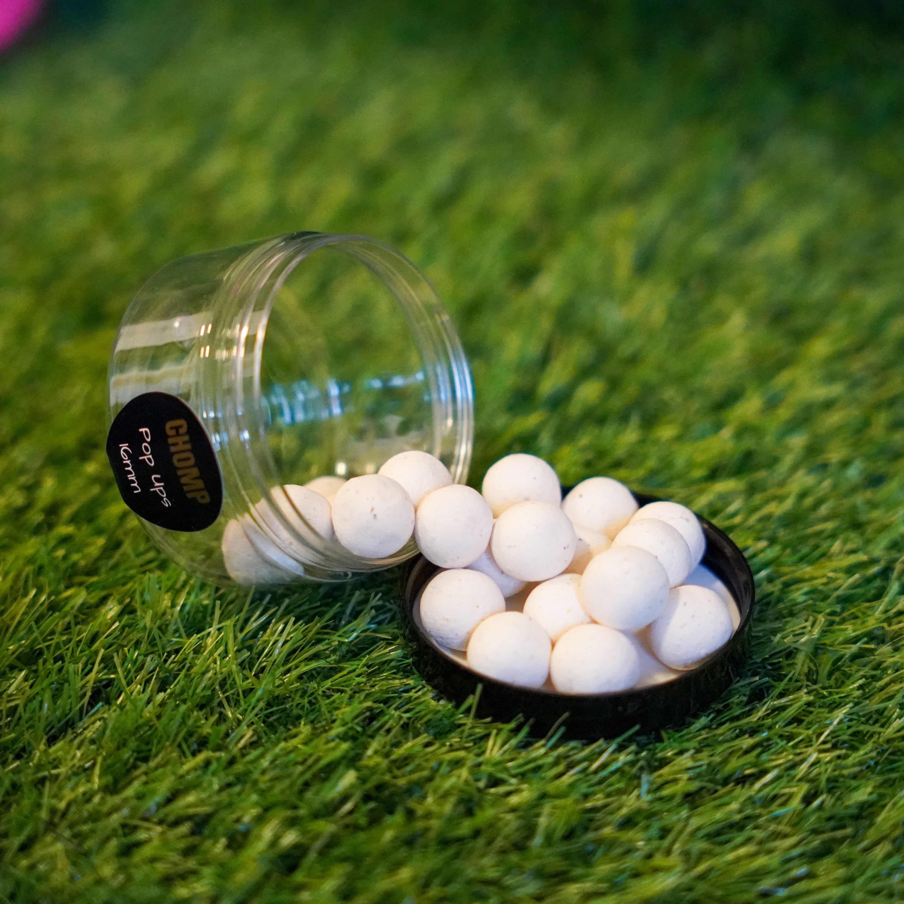 CHOMP Pop Ups - 16mm (White)